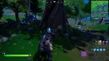 Fortnite, saison 5, quête journalière : Ramasser des flacons de sirop d'érable à Weeping Woods