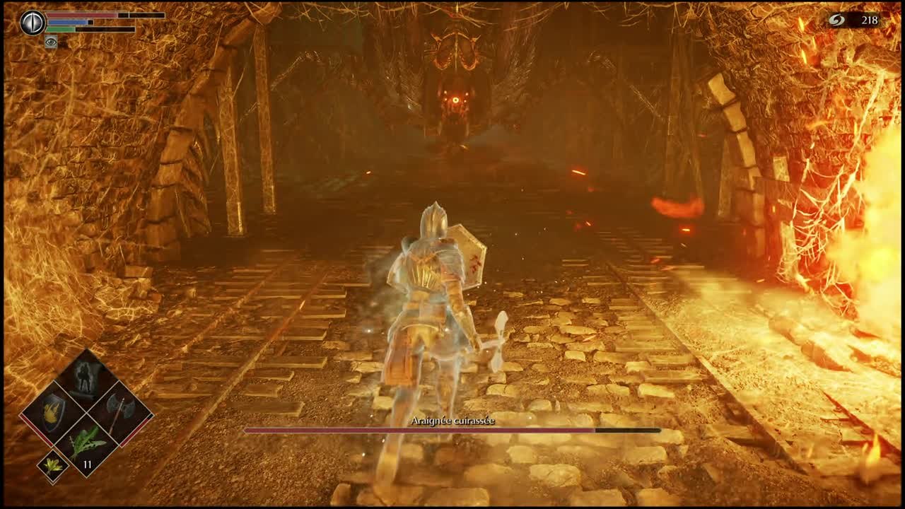 Araignée cuirassée