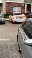 Gator Seems to Respond to Sound of Car Engine