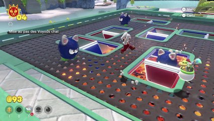 Château des Chatières – Mise au pas des Voyous chat