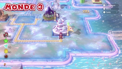 Niveau 3-1 : Parc Boule de neige