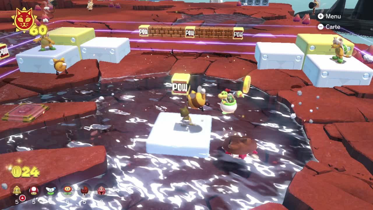 Lac Saudechat – Combat mystère dans l'empreinte