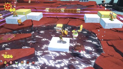 Lac Saudechat – Combat mystère dans l'empreinte