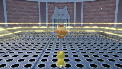 Colisée Calico – Duel final face au Boum Boum Chat