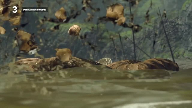 5 choses à savoir sur Monter Hunter Rise