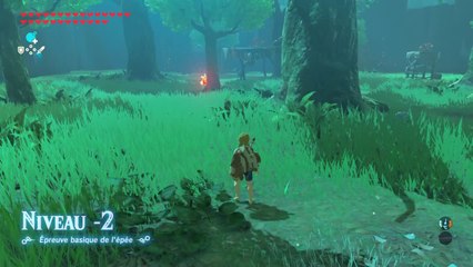 Zelda Breath of the Wild - Epreuve 2 Basique