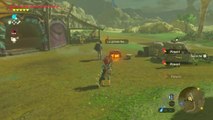 Zelda Breath of the Wild - Offrande à la grande fée