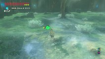 Zelda BOTW - Epreuve 1 Extreme