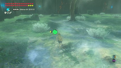 Zelda BOTW - Epreuve 1 Extreme