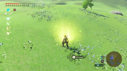 Zelda BOTW - Souvenir 6