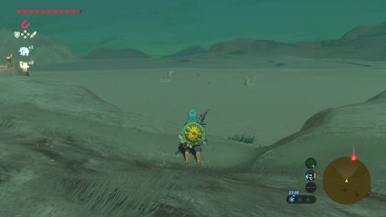 Zelda Breath of the Wild - To'Kayuu