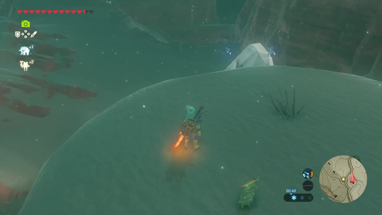 Zelda Breath of the Wild - Kui'Takka