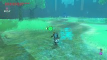 Zelda BOTW - Epreuve 20 Extreme