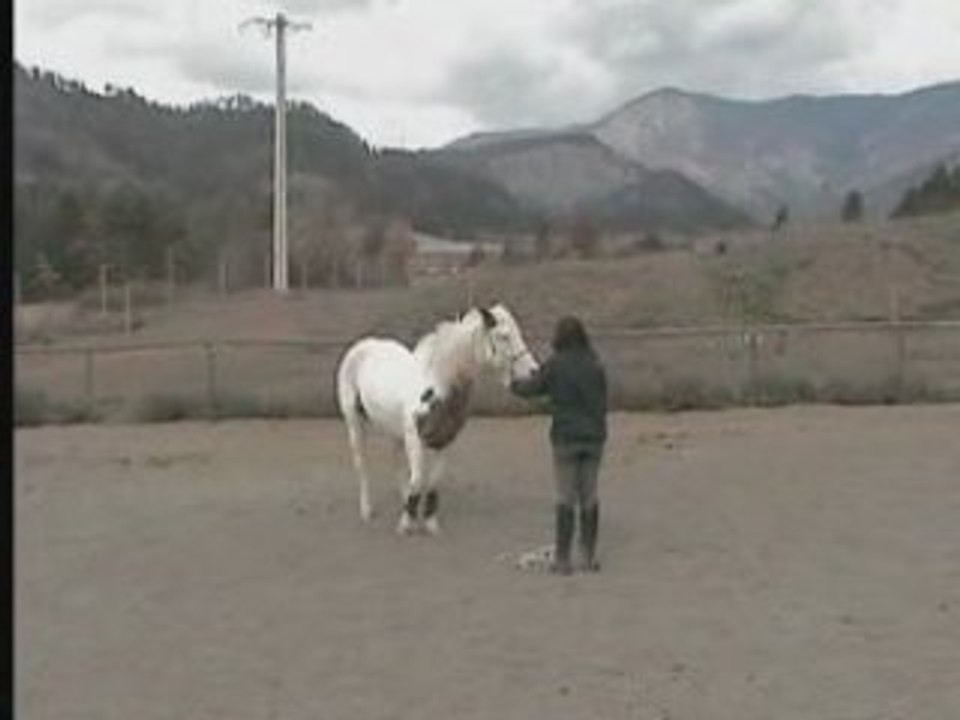 hidalgo sur le cercle en lib stop desangage et vient