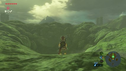 Zelda BOTW - Ya'Nahga