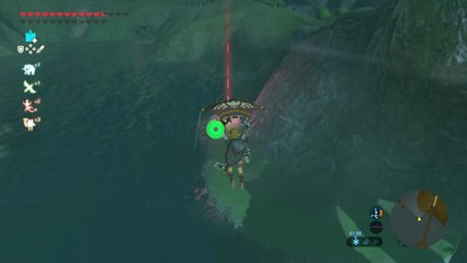 Zelda  BOTW ( Partenariat Xenoblade