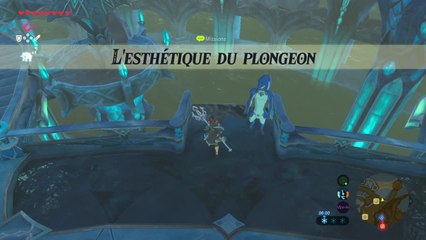 Zelda BOTW - Esthétique du plongeon