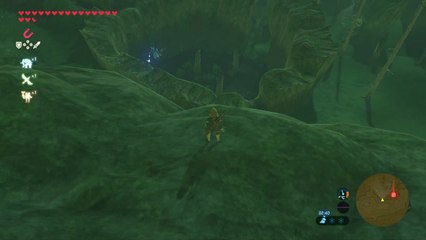 Zelda Breath of the Wild - Baguette surgelée