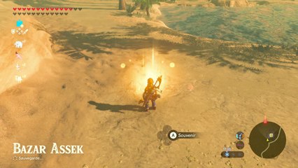 Zelda BOTW - Souvenir 4