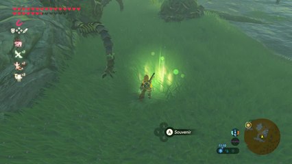 Zelda BOTW - Souvenir 13