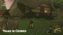 Zelda BOTW - Les cocottes perdues