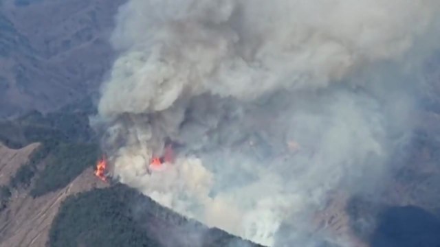 전북 무주 설천면 야산에 불...5시간 만에 완진 / YTN