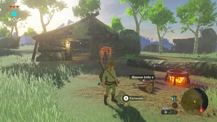 Zelda BOTW - Wa'Modai