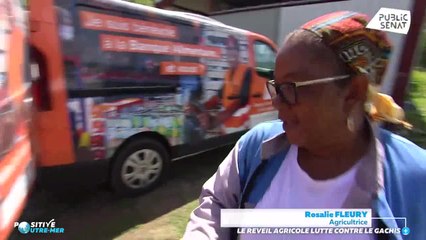 Le réveil agricole lutte contre le gâchis - Positive Outre-mer (15/03/2022)