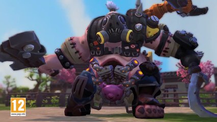 Heroes of the Storm : Overwatch Cosplay