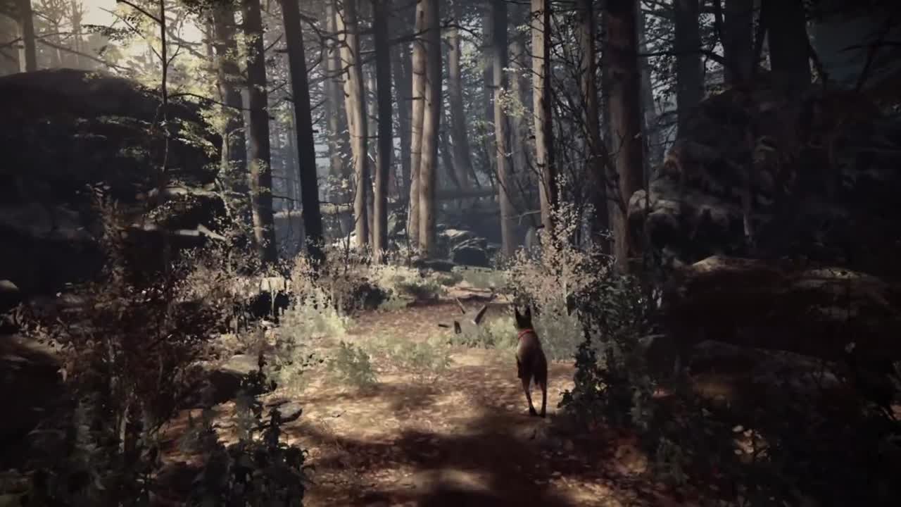 Blair Witch VR : replongez-vous dans le film culte en réalité virtuelle