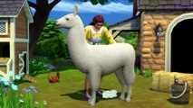 Les Sims 4 : Vie à la Campagne : prenez un bol d'air frais dans un habitat champêtre