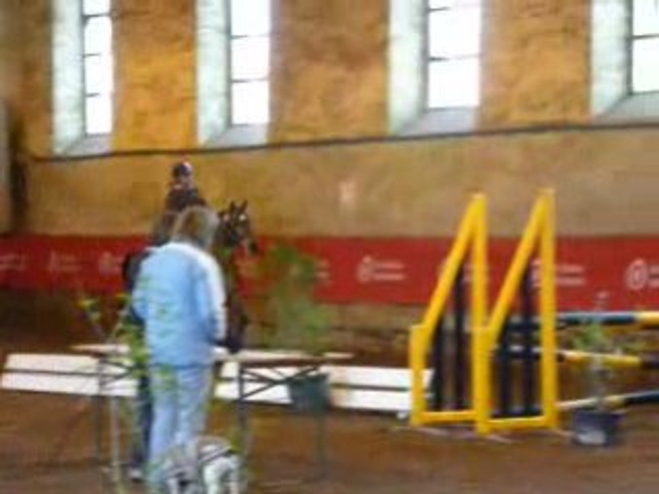 Etalons Poney Haras du PIn Mars 2008 POLARIS DU LUY Oxer