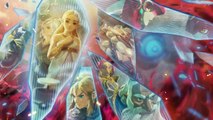 Hyrule Warriors L'ère du fléau : Le Gardien du souvenir switch