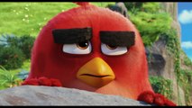 Angry Birds - Le film