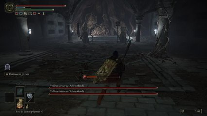 Elden Ring - Double Veilleur