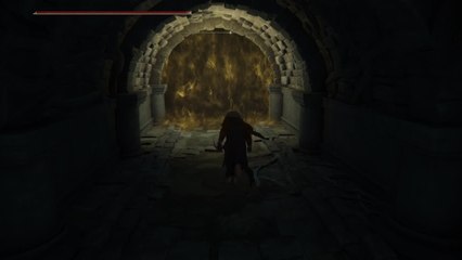 Elden Ring - Double veilleur again