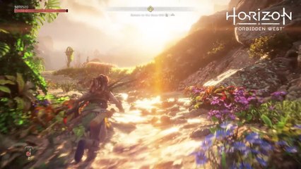 Horizon Forbidden west Shrine walk ps4