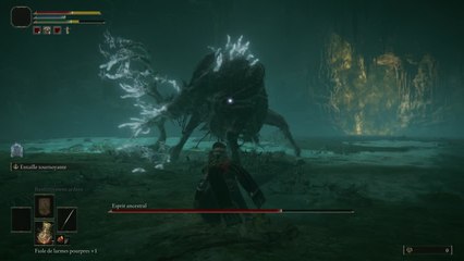 Elden Ring - Esprit Ancestral