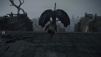 Elden Ring - Adepte de la Lame d'ébène (Caelid)