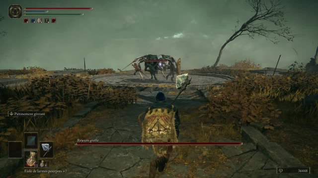 Elden Ring - Rejeton Greffé