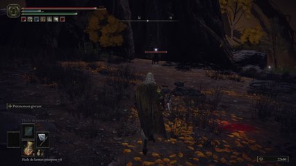 Elden Ring - Siluria