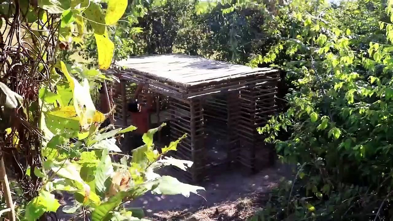 Building The Best Custom Underground Heating Swimming Pool And Grass Roof Housing Complex