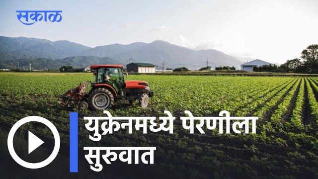 Russia Ukraine Crisis | रशिया युक्रेन युद्ध सुरू असताना युक्रेनमध्ये पेरणीला सुरुवात | Sakal