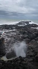 Watch as Kiama blowhole surprises tourists