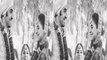 Alia Bhatt औऱ Ranbir Kapoor की Wedding Photo हुई Viral, क्या है इन फोटोज की सच्चाई | FimiBeat