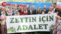 İYİ Parti'den zeytinliklerin kesilmesine protesto: İşte o görüntüler