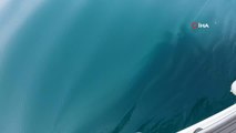 Gelibolu'da nefes kesen köpek balığı avı kamerada