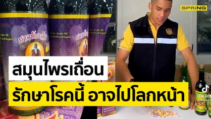 สายกินน้ำสมุนไพรระวังให้ดี! รักษาโรคครอบจักรวาลกินแล้วจะไปอีกโลก | SPRING NEWS UPDATE