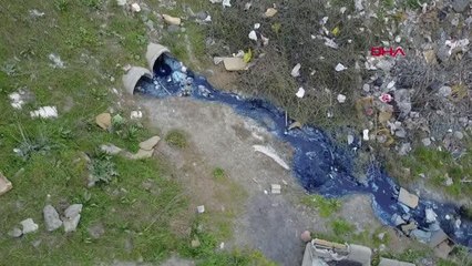 ALİBEYKÖY BARAJI'NA GİDEN DERE 'ZEHİR' AKIYOR; 'HAYVANLAR ÖLDÜ' İDDİASI