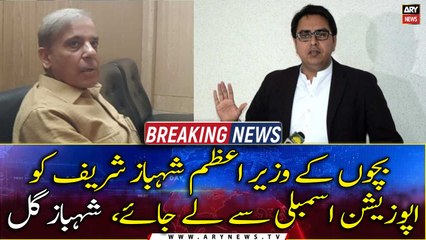 Opposition is requested to take the children's Prime Minister Shahbaz Sharif out of the Assembly, Shahbaz Gill